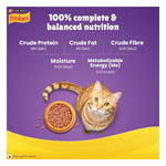 Purina Friskies Surfin' Favourites Adult Dry Cat Food 1kg Photo 7