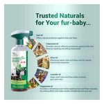 Natural Remedies Nomoticks Anti-Tick & Flea Home Spray 450ml Photo 5