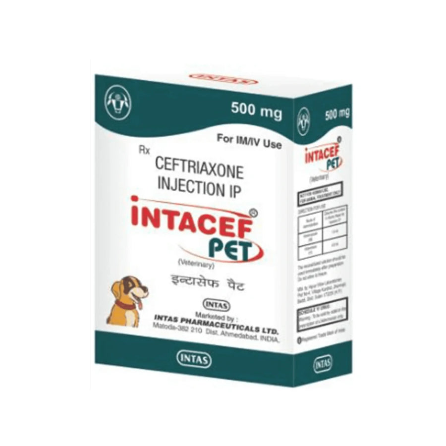 Intacef Pet 500mg Veterinary Antibiotic Injection