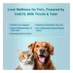 Natural Remedies HepNSure Liver Support Tablets for Dogs & Cats Photo 7