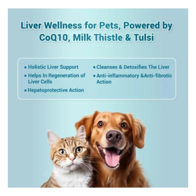 Natural Remedies HepNSure Liver Support Tablets for Dogs & Cats - Image 7