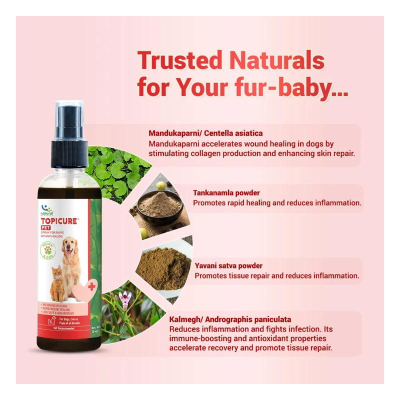 Natural Remedies Topicure Pet Wound Healing Spray 75ml - Image 5