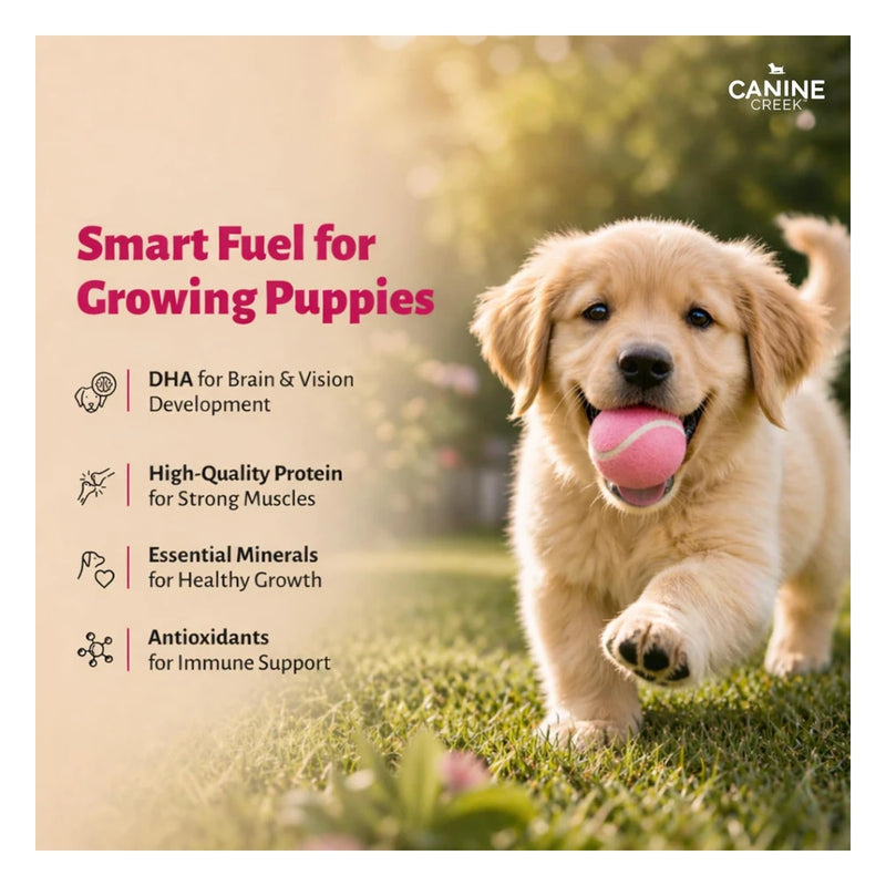 Canine Creek Chunks Gravy Puppy - Image 6
