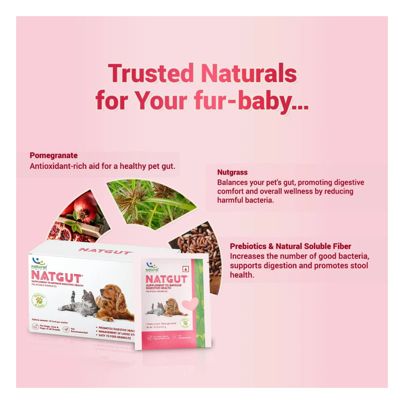 Natural Remedies Natgut Digestive Supplement – 30 Sachets - Image 3