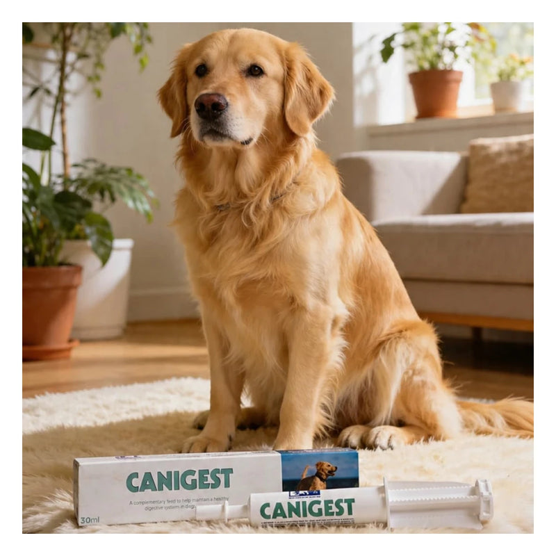 Canigest Combi (30 ml) - Image 4