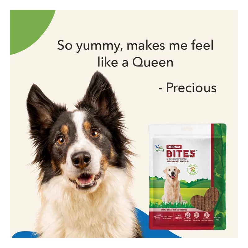 Natural Remedies Derma Bites Skin & Coat Dog Treats 75g - Image 5