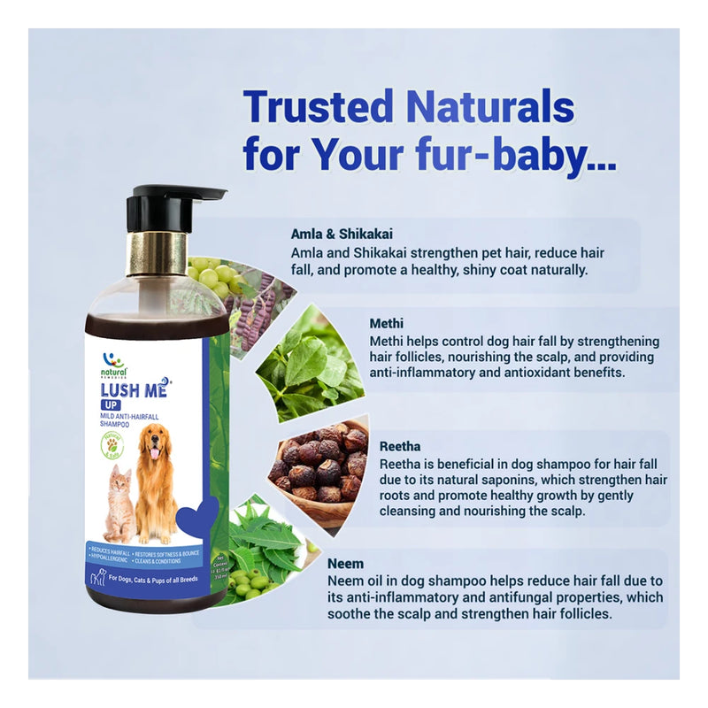 Natural Remedies Lush Me Up Anti-Hairfall Shampoo for Dogs & Cats - Image 5