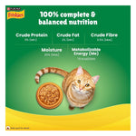 Purina Friskies Chicken Gravy-Licious, for Adult Cats, Pack of 12 (70gx12) Photo 5