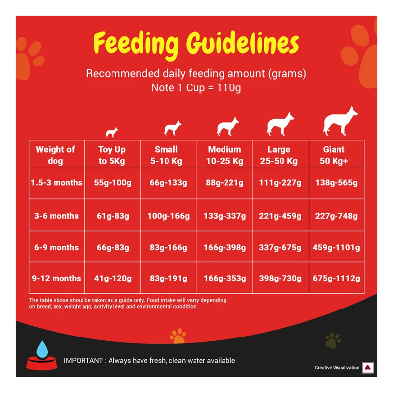 Purina Supercoat Puppy Chicken Dry Dog Food 10kg - Image 5