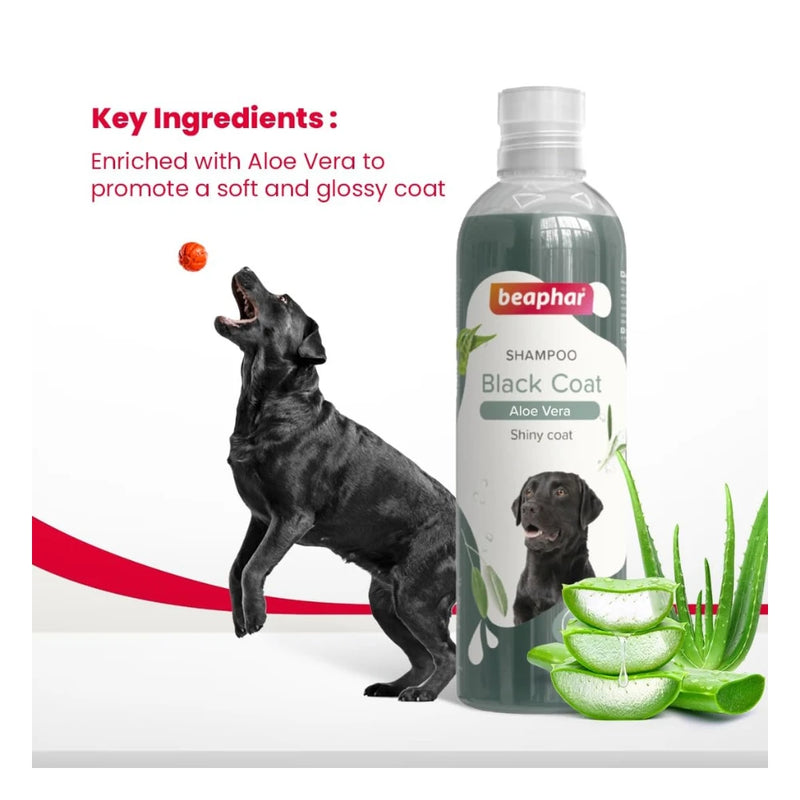 Beaphar Black Coat Shampoo for Dogs 250ml - Image 3