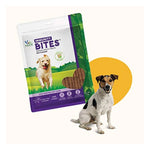 Natural Remedies Immunity Bites Dog Treats 75g Photo 1