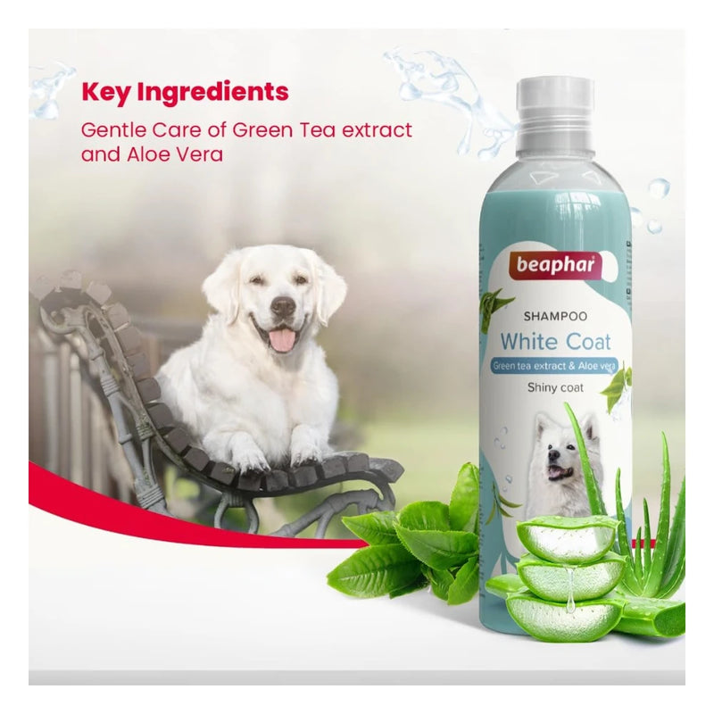 Beaphar White Coat Shampoo for Dogs - Image 5