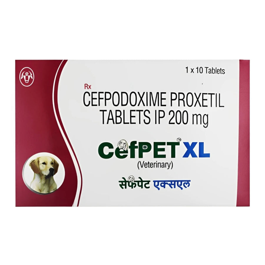 Intas Cefpet XL 200 mg Tablets for Dogs