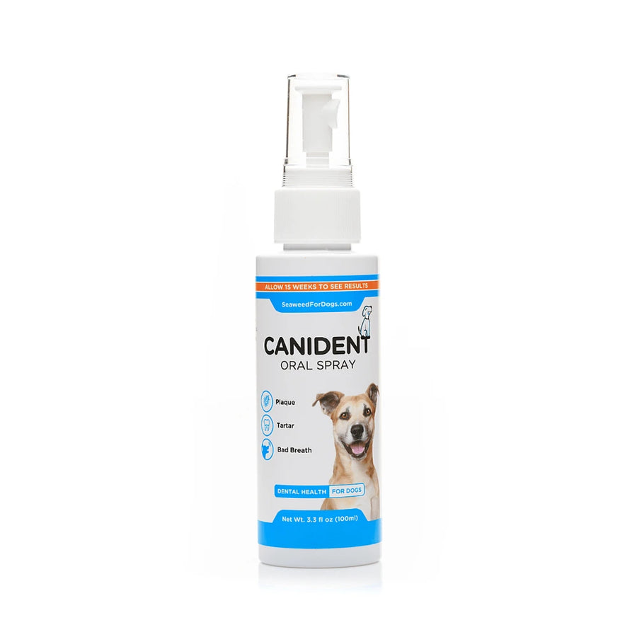 Cannident Mouth Spray 100ml – Pet Oral Care & Breath Freshener