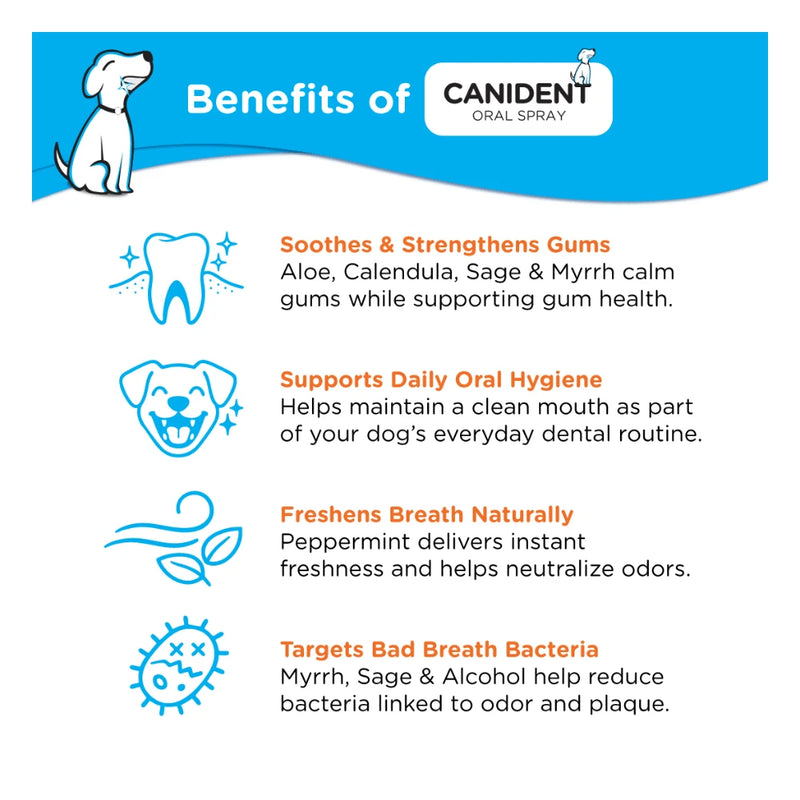 Cannident Mouth Spray 100ml – Pet Oral Care & Breath Freshener - Image 2