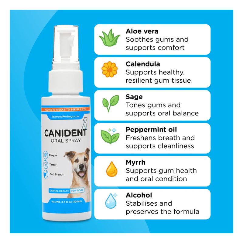 Cannident Mouth Spray 100ml – Pet Oral Care & Breath Freshener - Image 7