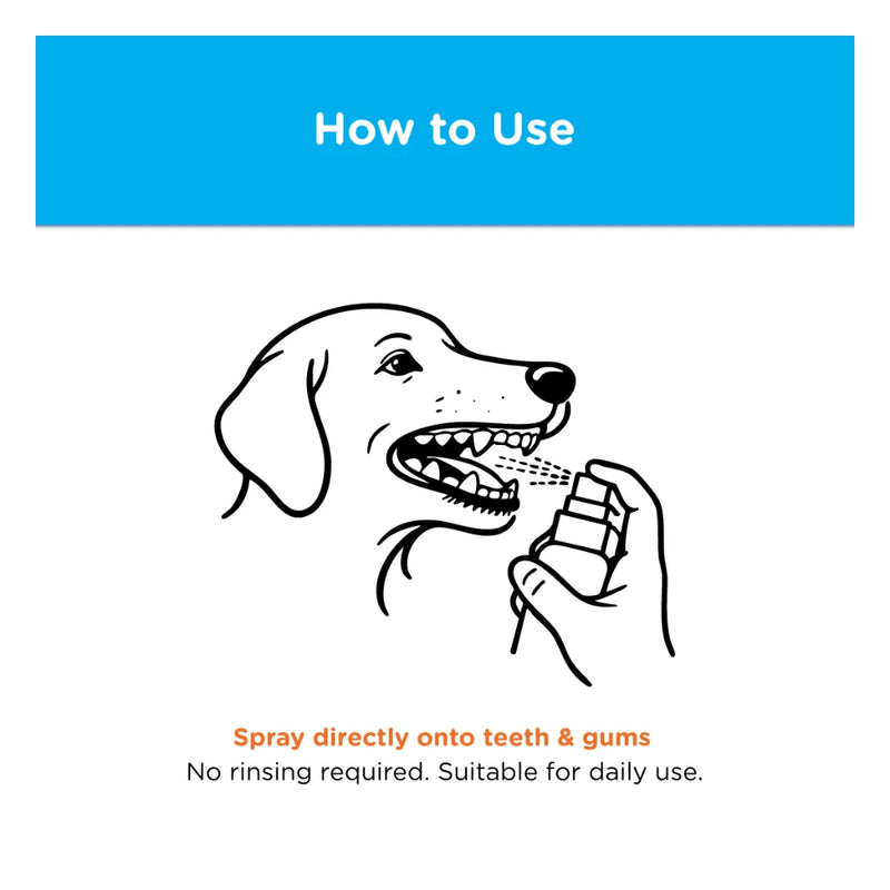 Cannident Mouth Spray 100ml – Pet Oral Care & Breath Freshener - Image 6