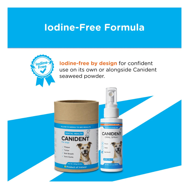 Cannident Mouth Spray 100ml – Pet Oral Care & Breath Freshener - Image 5