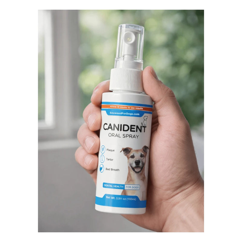 Cannident Mouth Spray 100ml – Pet Oral Care & Breath Freshener - Image 3