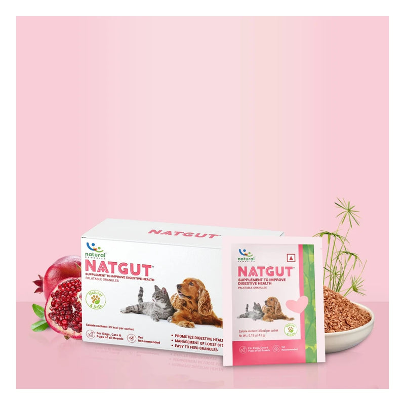 Natural Remedies Natgut Digestive Supplement – 30 Sachets - Image 2