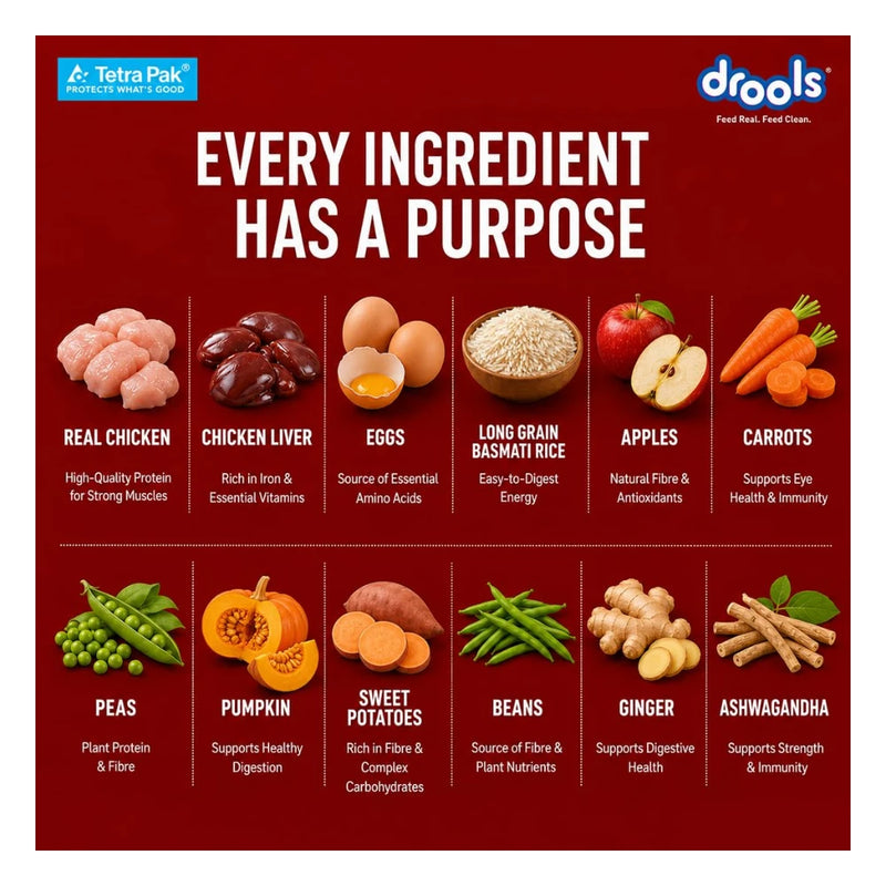 Drools Biryani Veggies - Image 12