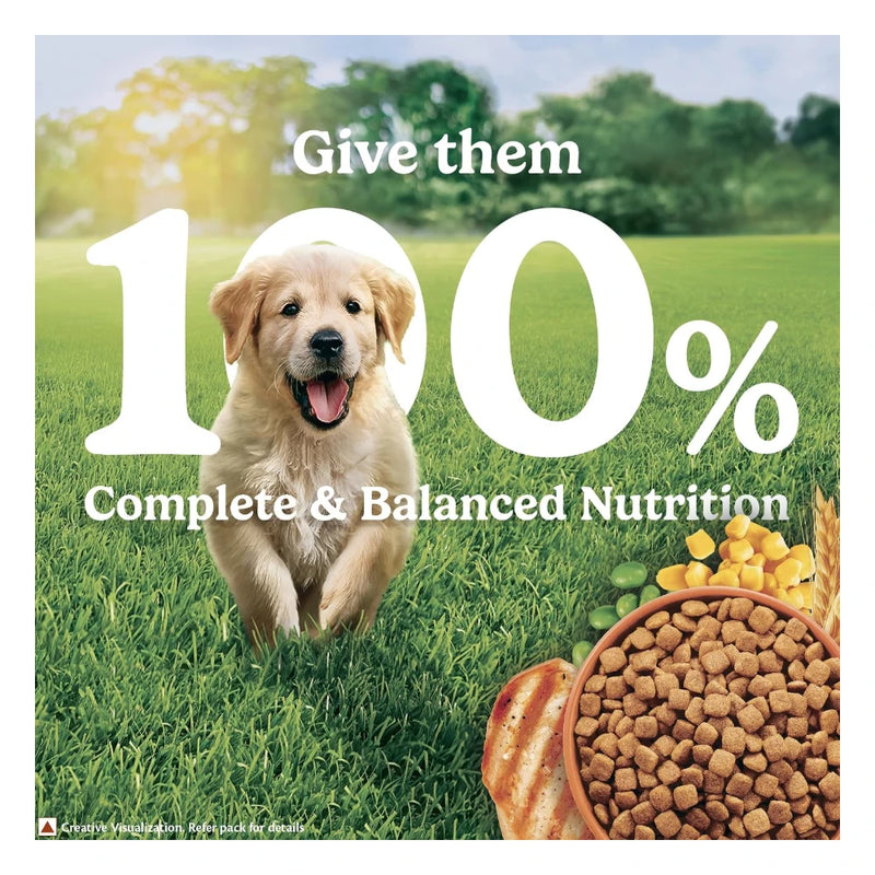 Purina Friskies Chicken & Meat Puppy Dry Dog Food 10kg - Image 10