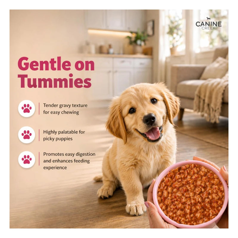 Canine Creek Chunks Gravy Puppy - Image 4