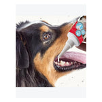 Beaphar Tooth Gel for Dogs & Cats 100g – No Brush Dental Care Photo 3