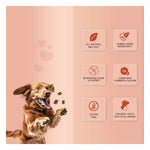 Natural Remedies Treat O'Clock Pet Treats 75g Photo 9