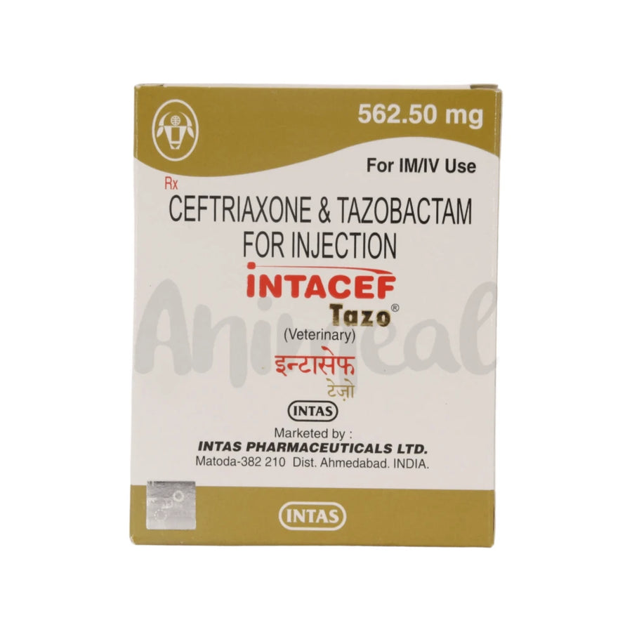 Intas Intacef Tazo Pet 562.5mg Veterinary Injection