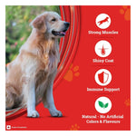 Purina Supercoat Adult All Breed Chicken Dry Dog Food 10kg Photo 3