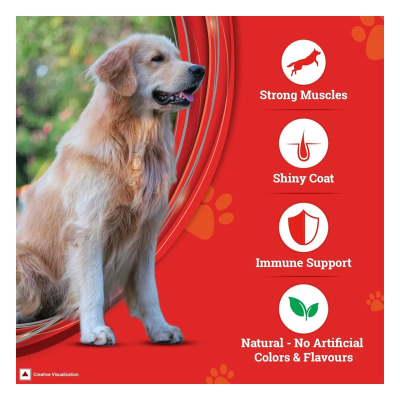 Purina Supercoat Adult All Breed Chicken Dry Dog Food 10kg - Image 3