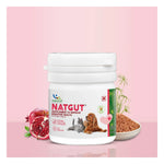 Natural Remedies Natgut Digestive Tablets for Dogs & Cats Photo 2