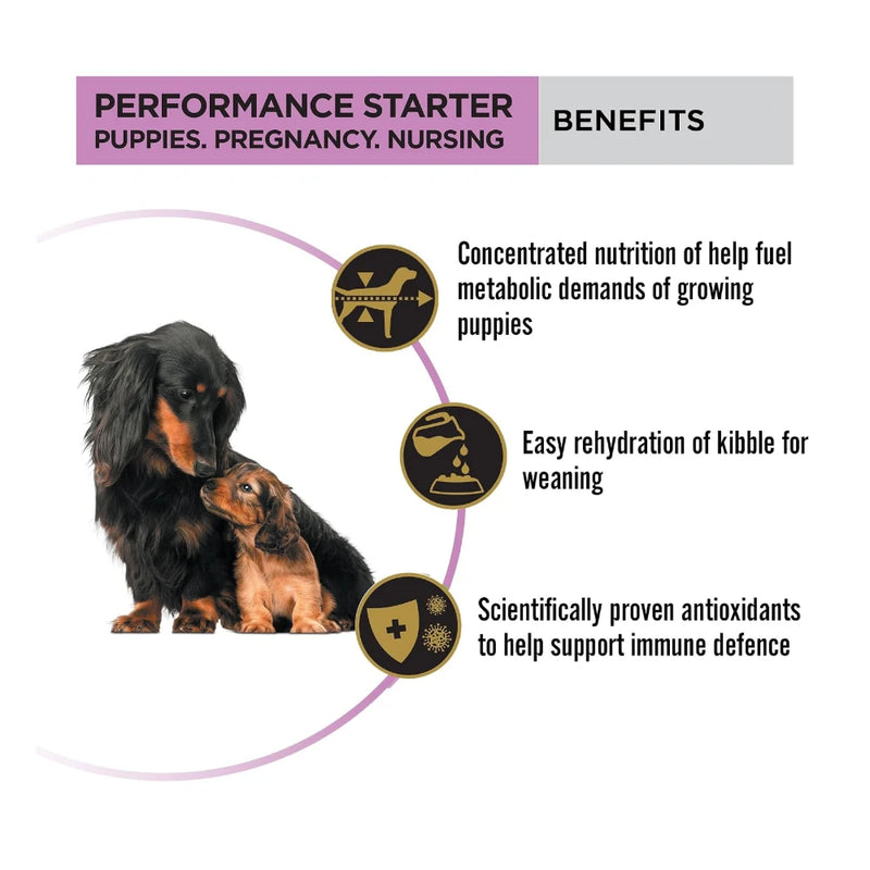Purina Pro Plan Performance Starter Puppy Dry Dog Food 3kg - Image 9