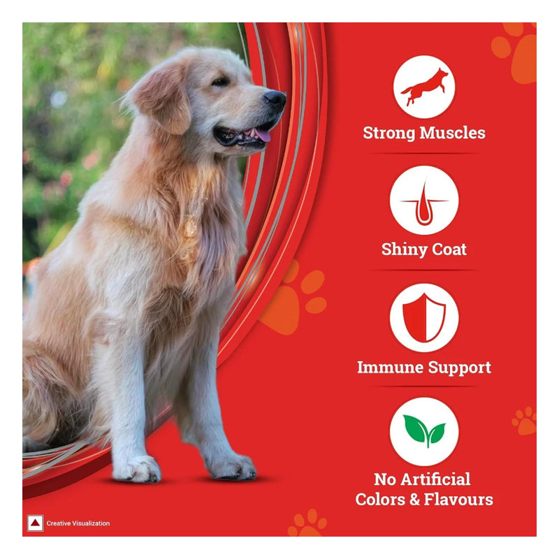 Purina Supercoat Adult All Breed Chicken Dry Dog Food 2.5kg - Image 4