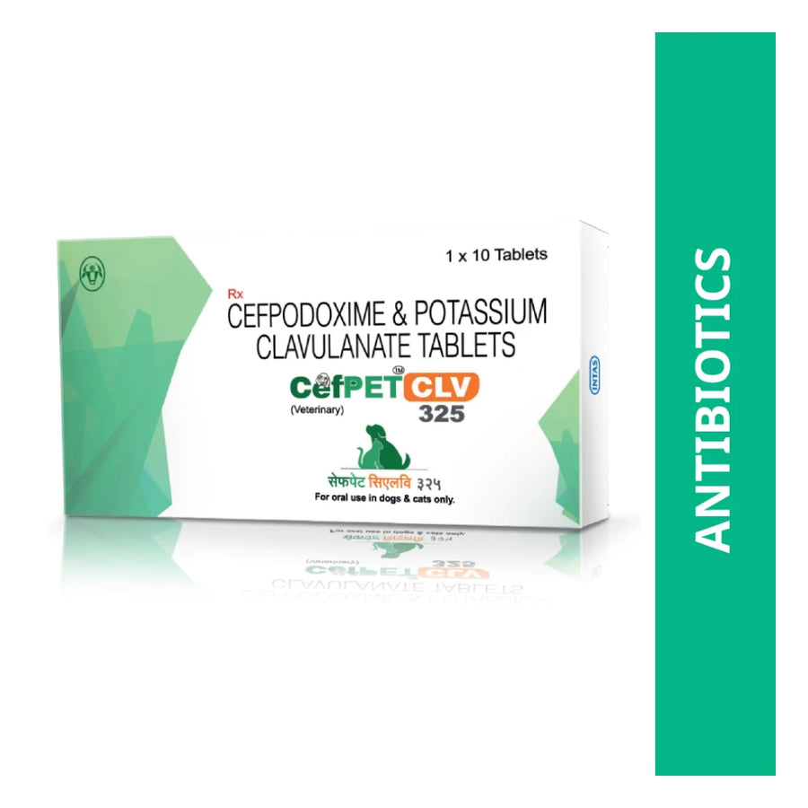 Intas Cefpet CLV 325 mg Tablets for Dogs
