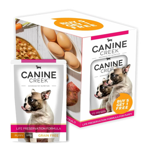 Canine Creek Chunks Gravy Puppy