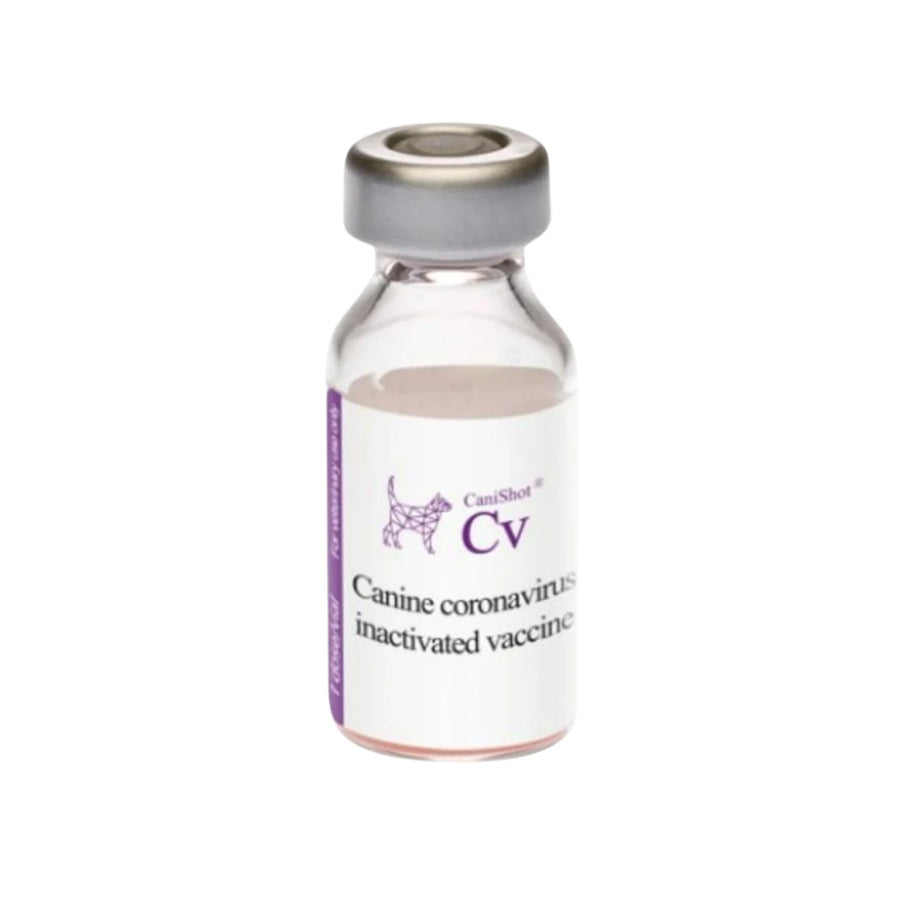 Intas Canishot CV Canine Coronavirus Vaccine 1 Dose