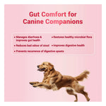 Natural Remedies Natgut Digestive Tablets for Dogs & Cats Photo 6