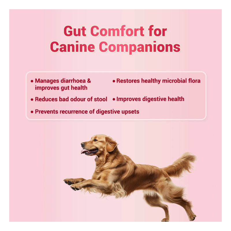Natural Remedies Natgut Digestive Tablets for Dogs & Cats - Image 6