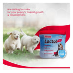 Beaphar Lactol Puppy Milk Replacer Photo 8