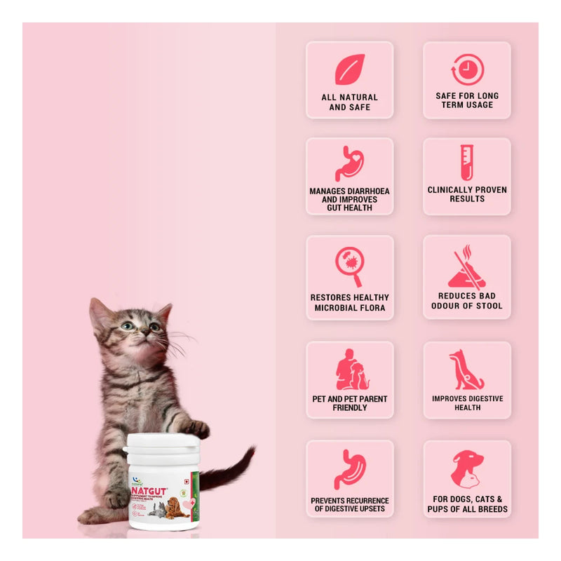 Natural Remedies Natgut Digestive Tablets for Dogs & Cats - Image 5