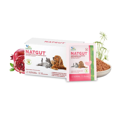 Natural Remedies Natgut Digestive Supplement – 30 Sachets