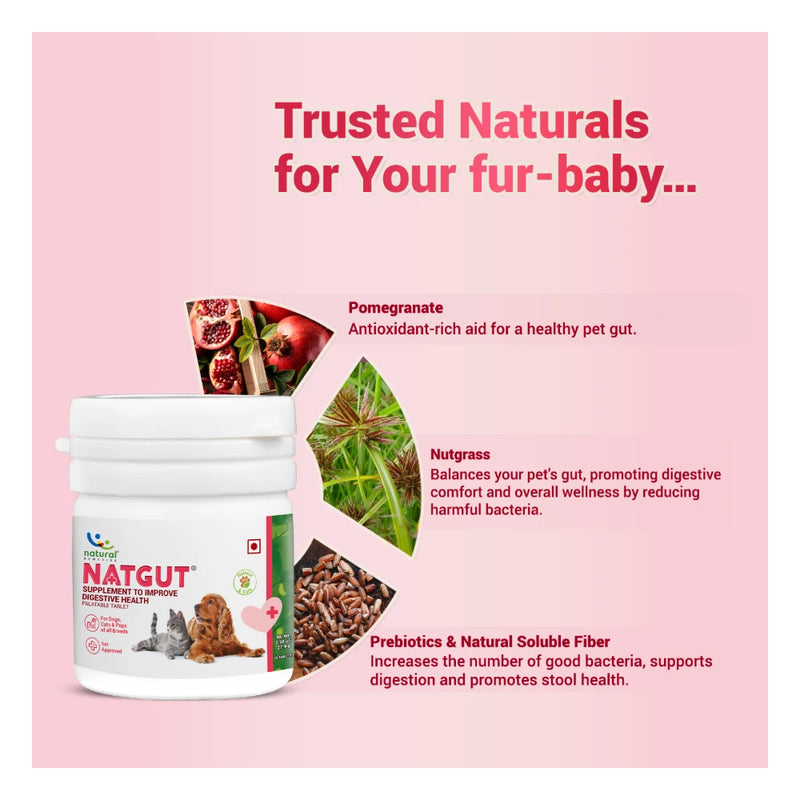 Natural Remedies Natgut Digestive Tablets for Dogs & Cats - Image 4