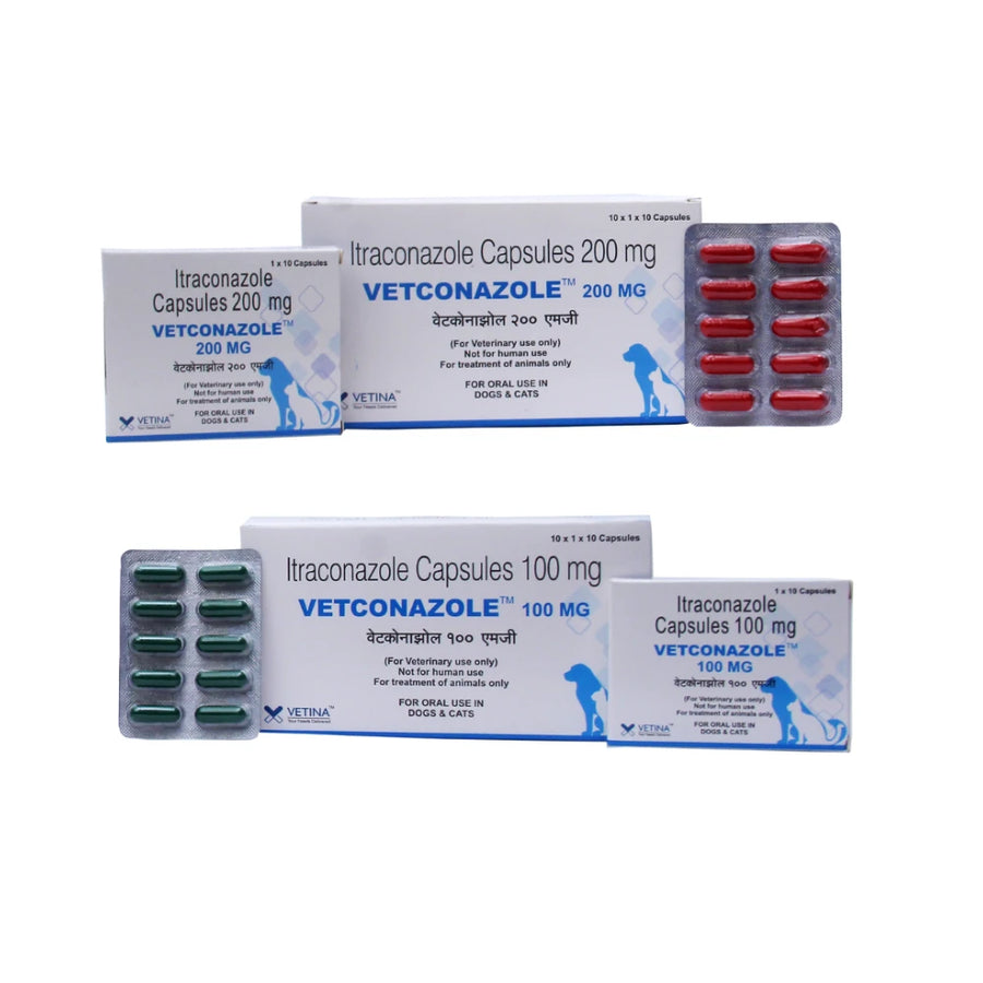 Vetraconazole Capsules 100 mg (1 x 10 x 10 capsules)