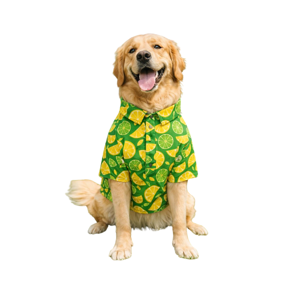 Furrfab Lemon Print Shirt for Dogs (Copy) Ingredients