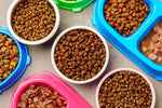 Cat Supplement 1KG ABC Photo 2