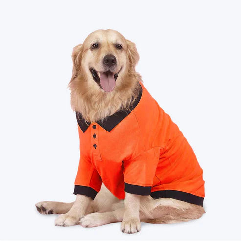Furrfab Dogs Polo T-Shirt Ingredients