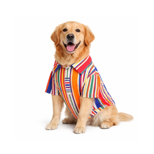 Furrfab Multicolor Strip Print Shirt for Dogs Ingredients