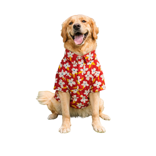Furrfab Floral Print Shirt for Dogs